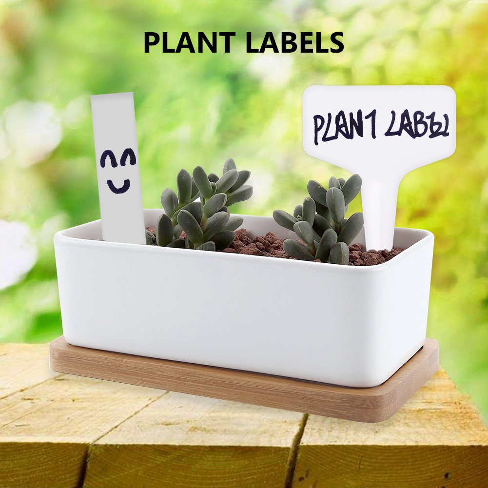 Mziart 100 Etiquetas de plástico Tipo T para Plantas ...