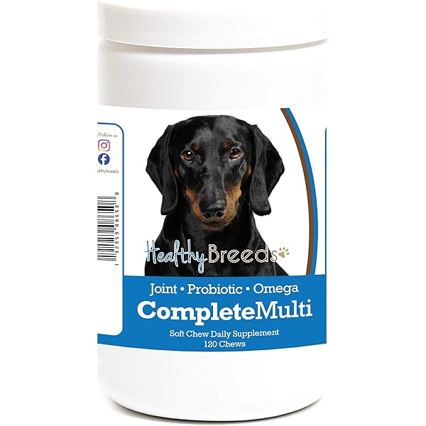 vitamins for dachshund puppies