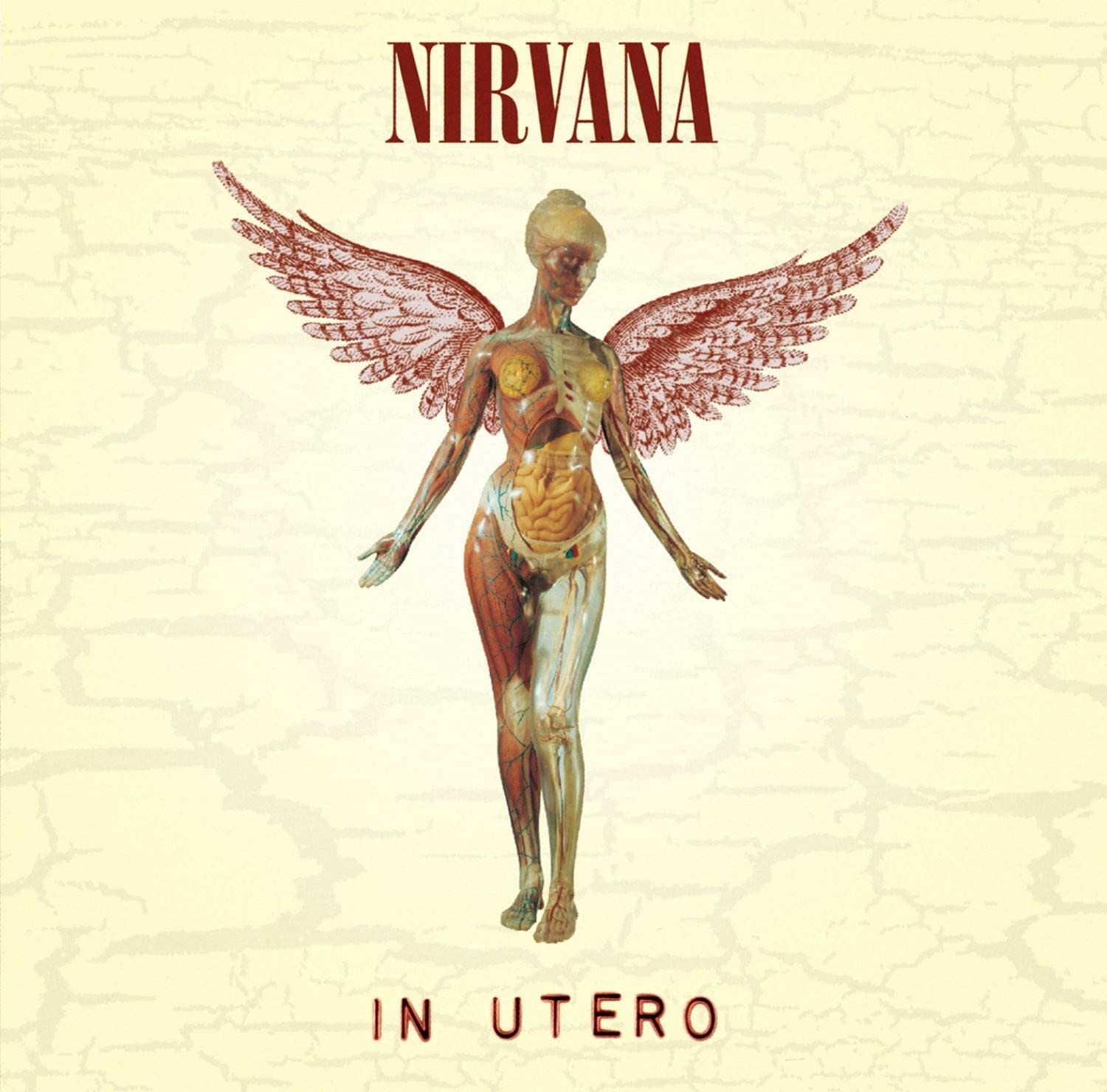 In Utero [Vinyl LP] Nirvana Amazon.de MusikCDs & Vinyl