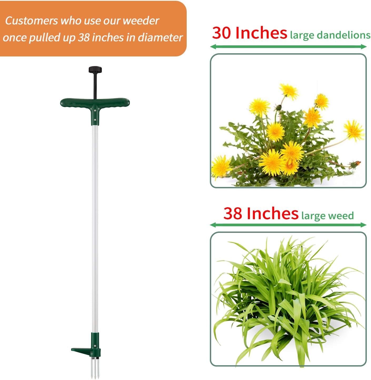 Walensee Stand Up Weeder and Weed Remover Tool, Stand up Manual Weeder Hand Tool with 3 Claws, Stainless Steel and High Strength Foot Pedal, Weed Puller (Combo Pack - Stand Up Weeder&Garden Waste Bag) : Garden & Outdoor