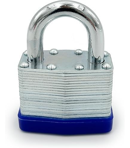 Amazon.com: NOT A LOCK - 11134P/2PK 2 PK, Silver : Automotive