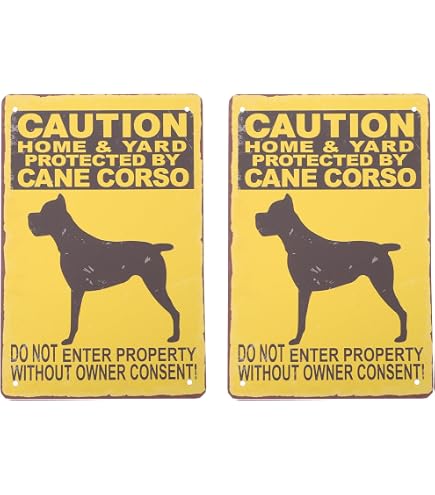 Lustiges Hundeschild 'Achtung – Gebiet Wird Von Pembroke Welsh Corgi Security überwacht' – PVC, Retro