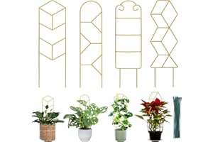 MIJAYENV 16 Inch Plant Trellis Indoor for Potted Plants 4 Pack Indoor Plant Trellis for Climbing Plants Houseplant Trellis Metal Garden Pot Trellis for Vine Ivy Support(16inch Gold)