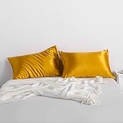 NTBAY 2 Pack Satin Queen Pillowcases for Hair and