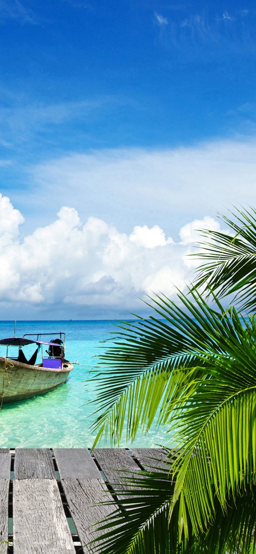 PeelitStickit, Paradise Vacations Wall Murals, ID-010, vinyl