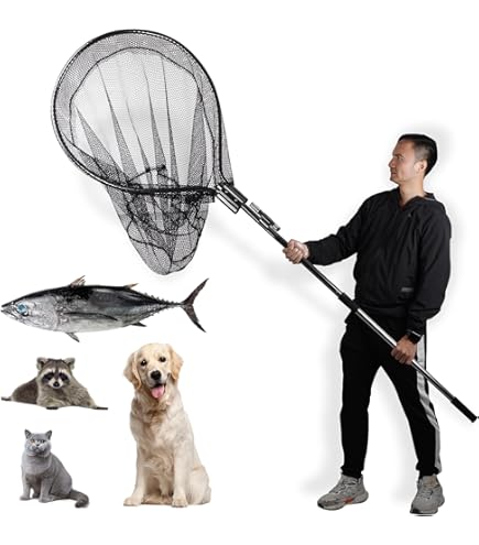 best breakdown fishing pole The Best Fishing Rod