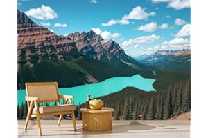 Peel and Stick Wallpaper Peyto Lake Banff National Park Alberta Canada Self Stick Wall Mural Removable Wallpaper Wall Decor f