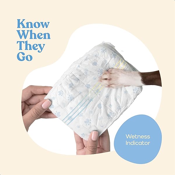 COMFORTABLE MALE DOG DIAPERS – 50-PACK SUPER ABSORBENT DISPOSABLE MALE DOG WRAPS- FLASHDRY GEL TECHNOLOGY, WETNESS INDICATOR DOGGIE DIAPERS- LEAKPROOF BELLY WRAPS FOR INCONTINENCE, EXCITABLE URINATION