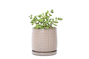 D'vine Dev 4 Inch Ceramic Beaded Stoneware Planter Pot - Flower Pot with Drainage Holes and Saucers for Indoor Succulent Plants or Flowers, Light Brown, 27-C-Z-4