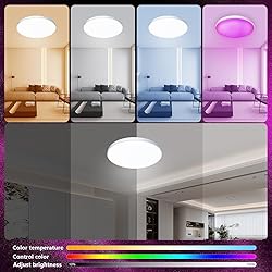AMKI Smart RGB Ceiling Light Flush Mount