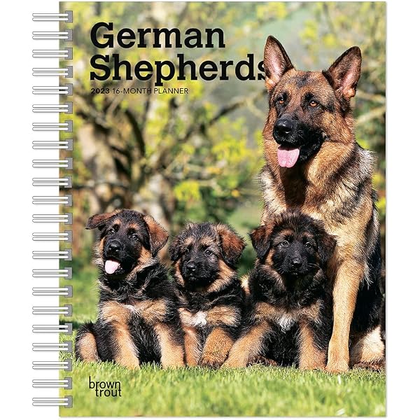 German Shepherds | 2023 6 x 7.75 Inch Spiral-Bound Wire-O Weekly Engagement  Planner Calendar | New Full-Color Image Every Week | BrownTrout | Animals  Dog Breeds Pets: BrownTrout Publishers Inc., BrownTrout Publishers
