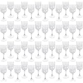 LEYIQU Plastic Wine Glasses, Plastic Goblets Vintage Style Cordial Drinking Glasses for Valentine’s Day, Wedding Reception, Grand Event Party Supplies (48, Transparent)