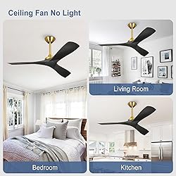 BvenuBigLite Modern Ceiling Fan with Remote: Black