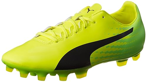evospeed 17.2