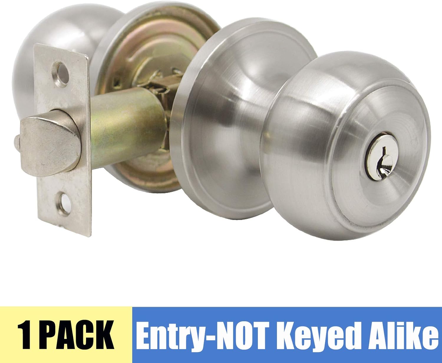 Brushed Nickel Finish Entrance Door Knob with Key Exterior Entry Door