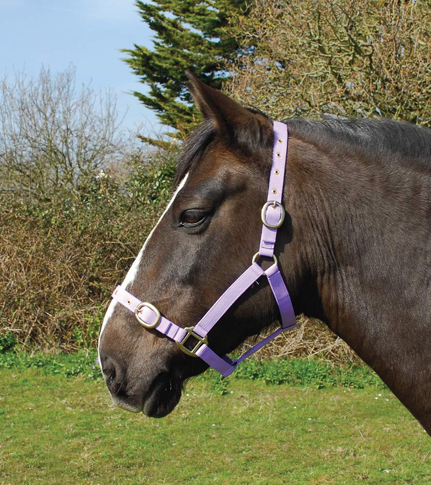 Rhinegold Nylon Headcollar - Cob - Lilac — image 1