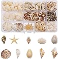 yaokan 170PCS/Box 10 Styles Sea Shell Cowrie Conch Starfish Ocean Beach Spiral Seashell with Hole for Resin Craft Candle Making Wishing Bottle Wedding Home Fish Tank Decoration