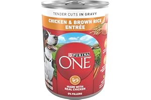 Purina ONE Natural High Protein Dog Food, Tender Cuts in Gravy Chicken and Brown Rice Entrée - 13 Ounce (Pack of 12)