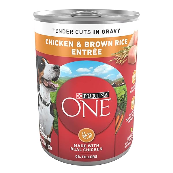 PURINA ONE TENDER CUTS IN WET DOG FOOD GRAVY CHICKEN AND BROWN RICE ENTREE – (PACK OF 12) 13 OZ. CANS