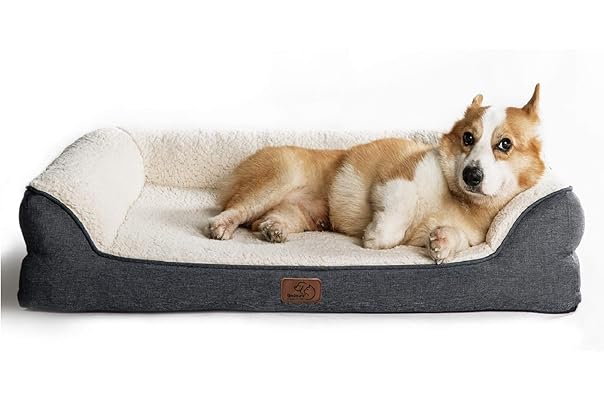 best dog bed canada