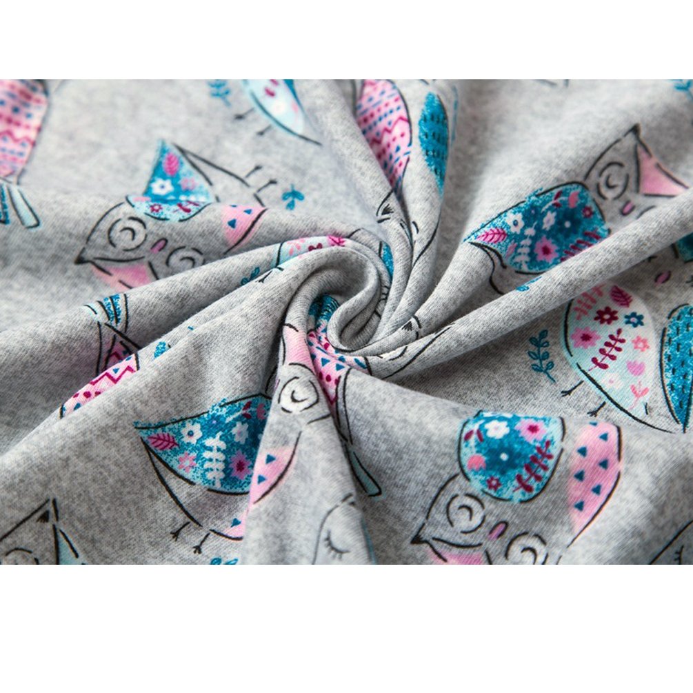 ENJOYNIGHT Women\'s Cute Sleepwear Print Tee and Shorts Pajama Set (Medium, Owl)