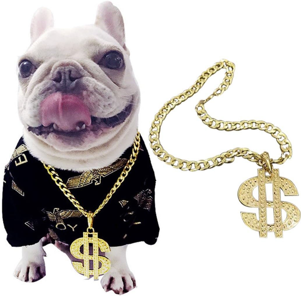 Legendog Hundehalsband, Hundehalsband Kette Dollar Anhänger Metall