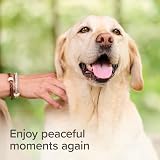 Beaphar StressLess Herbal Calming Collar for Dogs 65cm Reduces Stress view 7