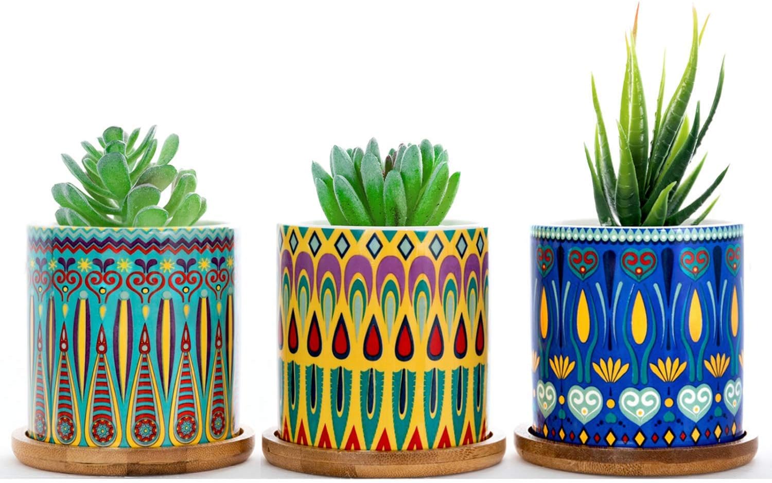 Best Herb Garden Box Lavender