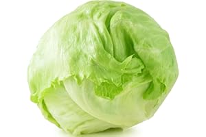 500 Iceberg Lettuce Seeds for planting - Heirloom Non-GMO USA Grown Premium Vegetable Seeds for Planting Home Garden - Crisphead Heading Lettuce Lactuca Sativa by RDR Seeds