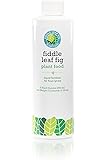 Fiddle Leaf Fig Plant Food - Fiddle Leaf Fig Tree Fertilizer from the Fiddle Leaf Fig Resource. Care for your fiddle leaf fig tree with a year supply of live indoor house plant nutrients. 8 liquid oz.