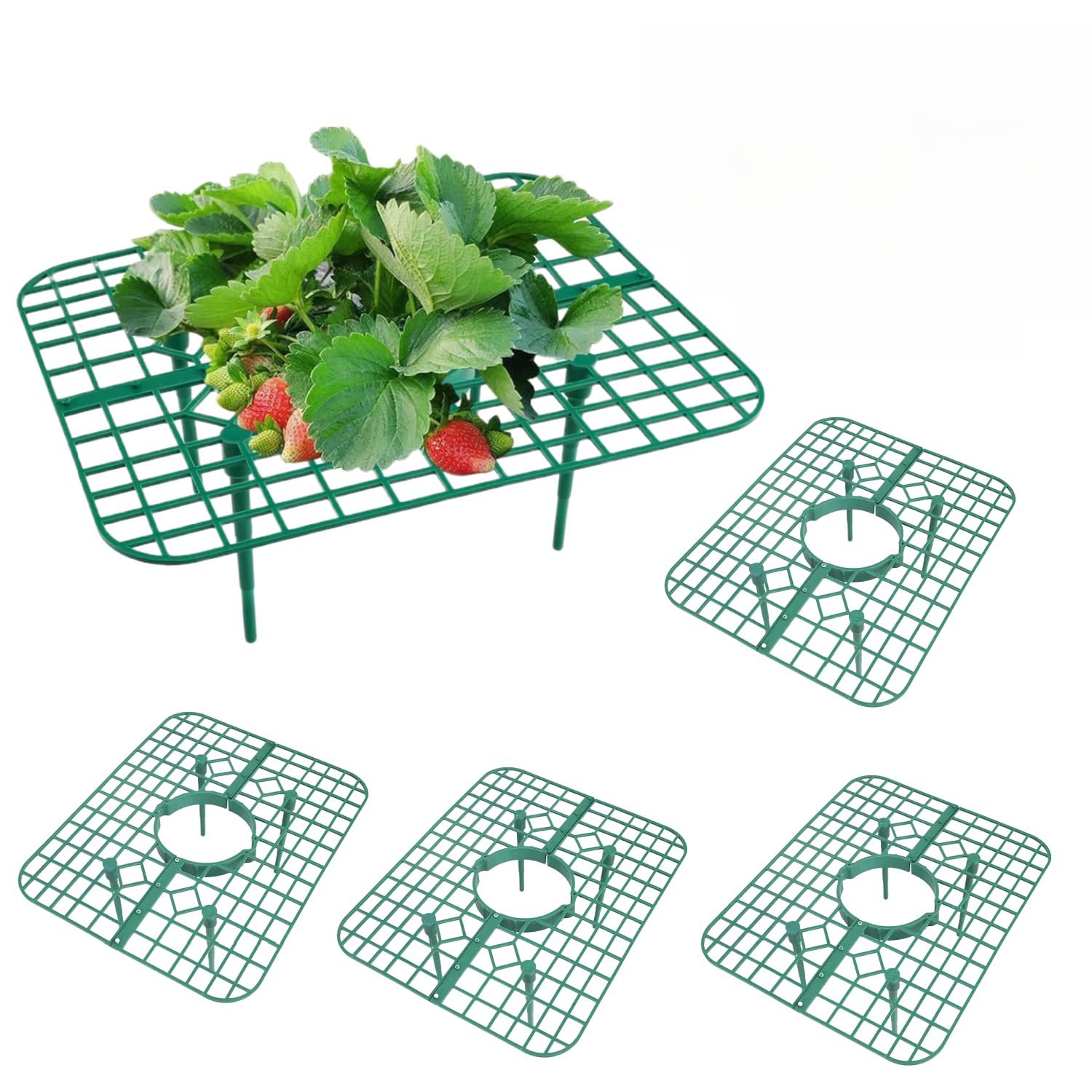 Wuyue Hua 5 Pack Strawberry Plant Support Stand, Green Plastic, Plant Support Style, Garden Stakes, Multipurpose Fruit Holder