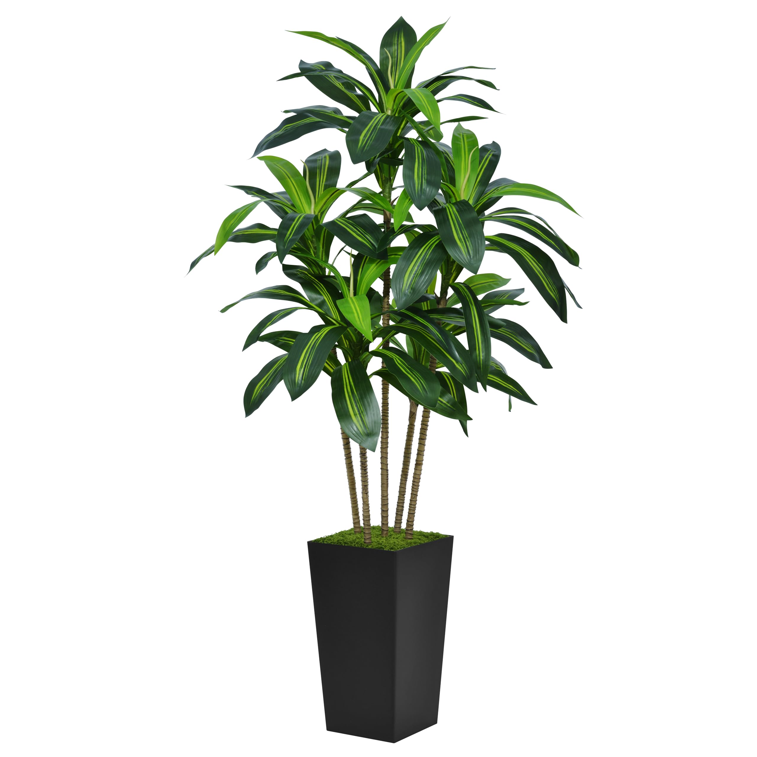 ASTIDY Artificial Dracaena Tree 5FT - Faux Tree