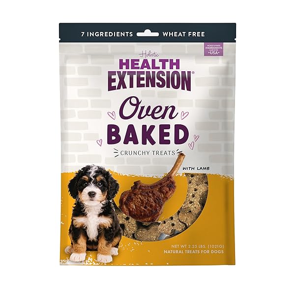 HEALTH EXTENSION OVEN-BAKED DOG TREATS, LAMB RECIPE –...