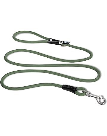 amazon dog leash and collar