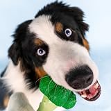 Nylabone Extreme Chewers Broccoli Chew Toy Large - Durable Dental Clean Bacon view 4