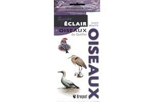 Oiseaux