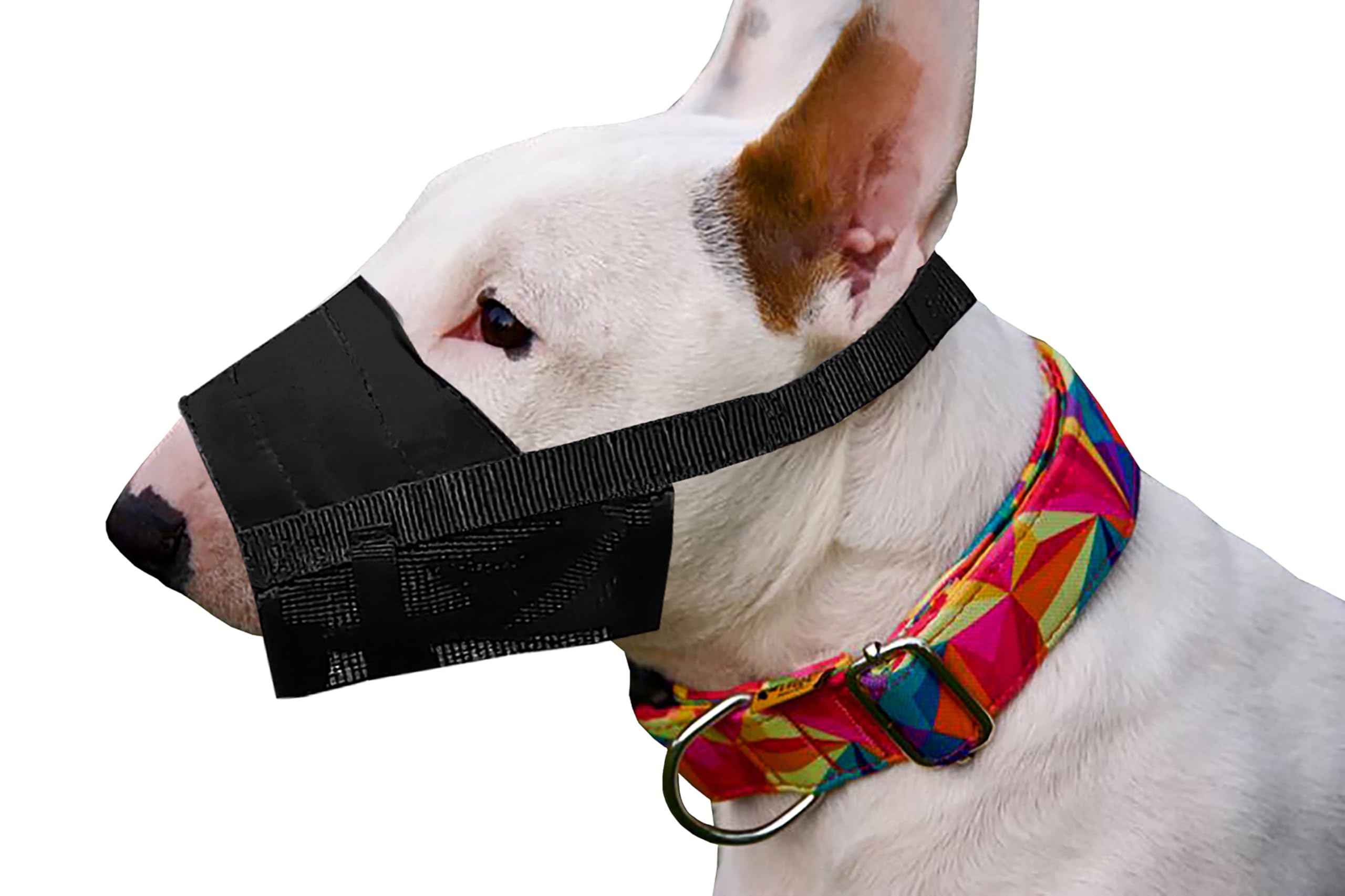 Dingo Waldemar Rutkowski Adjustable Nylon Muzzle Breathable Mesh for Small Breeds, Puppy, Parson Russell, Pinscher, Miniature Schnauzer, S Black 16774-2