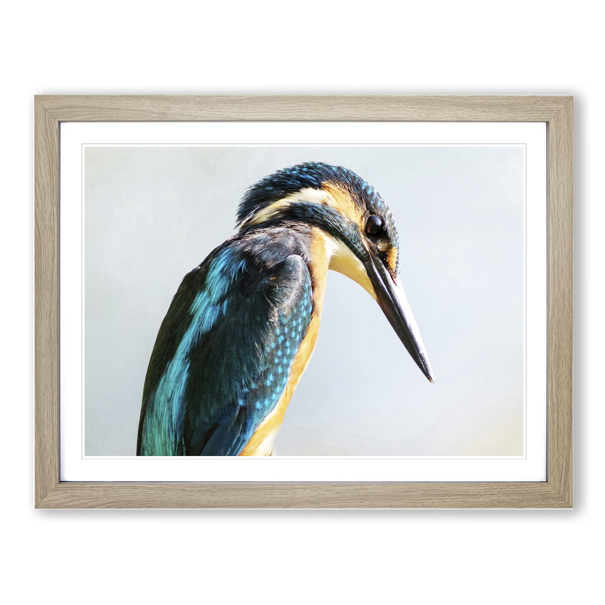 Kingfisher Bird 2 Modern Framed Print | A4 Oak Framed Wall Art | Ready to Hang | Modern Nature Picture | Living Room Bedroom Lounge Office