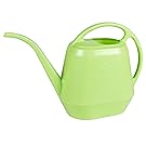 Bloem Aqua Rite Watering Can, 36 oz, Honey Dew (AW15-25)