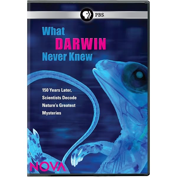 Amazon.com: Evolution: Darwin's Dangerous Idea : Liam Neeson
