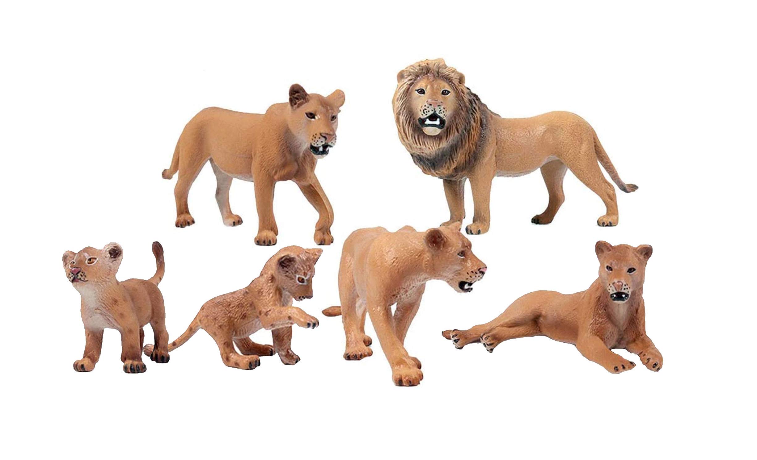 JOKFEICE Lion Toy 6pcs Realistic Wild Animal Figures - Plastic Jungle Animal Learning Educational Bath Toys - Birthday Cupcake Topper Party Favors Gift For Kids Toddlers