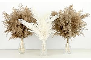 30 PCS Fluffy Pompas Grass, Natural Dry Pampas Grass Small, Dried Pampas Grass Short Brown Pampass Bulk for Boho Wedding Deco