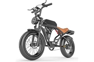 Misodo Electric Bike for Adults, Peak 2500W Motor, 50KM/H & 160KM PAS Range, NFC & Password Unlock, 48V 20AH Battery,Electric