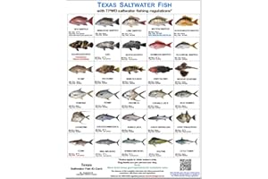 Tackle Box I.D. Texas Saltwater Fish Identification Card Set - Three Waterproof Cards Showing 60 Common Fish and 17 Sharks in True-to-Life Photographs with Current 2025-2026 TPWD Rules.