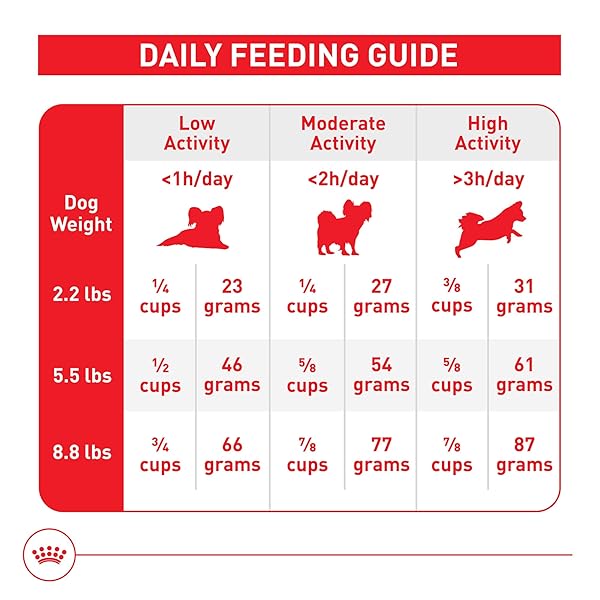 ROYAL CANIN SIZE HEALTH NUTRITION X-SMALL 7+ ADULT DRY DOG FOOD, 2.5 LB BAG