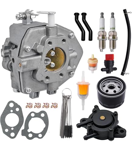 Amazon.com: XingLi 846109 Carburetor Carb Fit for 303442 303445