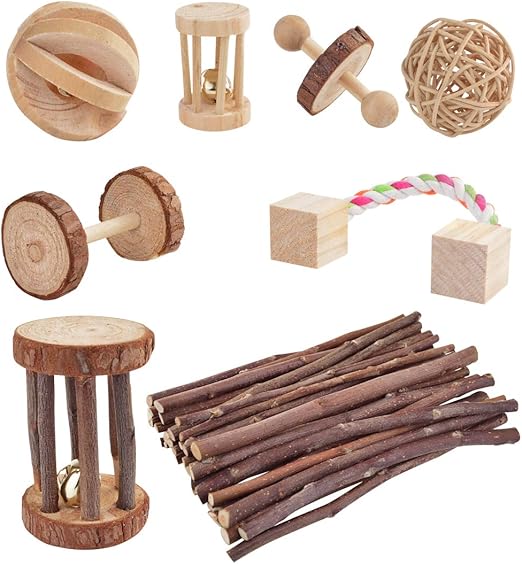 guinea pig toys amazon