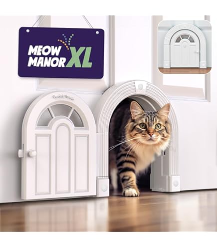 Amazon.com : The Kitty Pass Cat Door for Interior Door - Cat Hole