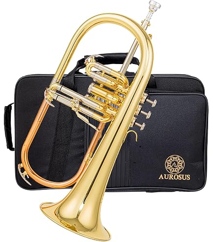 Amazon.com: Tromba Pro Professional Plastic Bb Flugelhorn, Golden