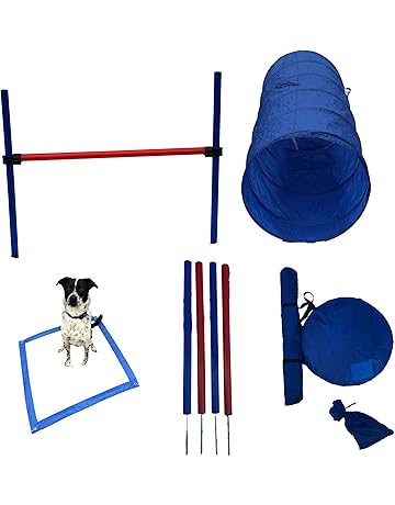 Amazon Com Agility Equipment Training Behavior Aids Pet